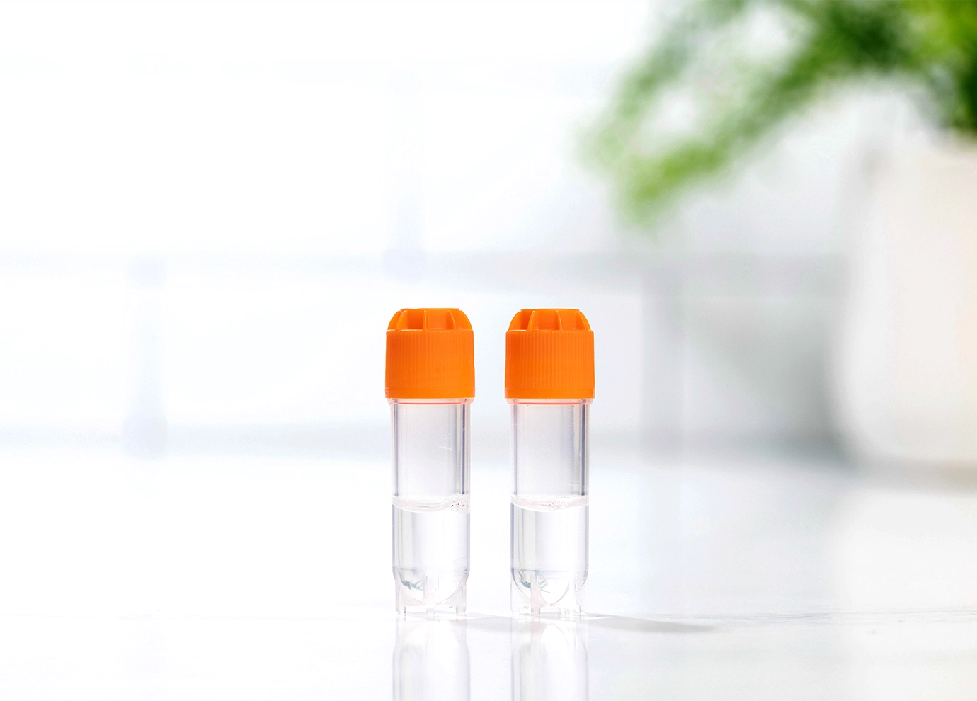 DNA health testing kit swab