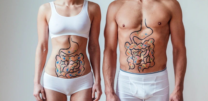 Digestion